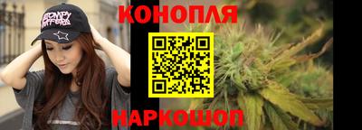 стаф Кунгур