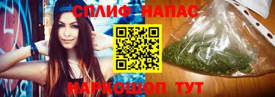 стаф Кунгур