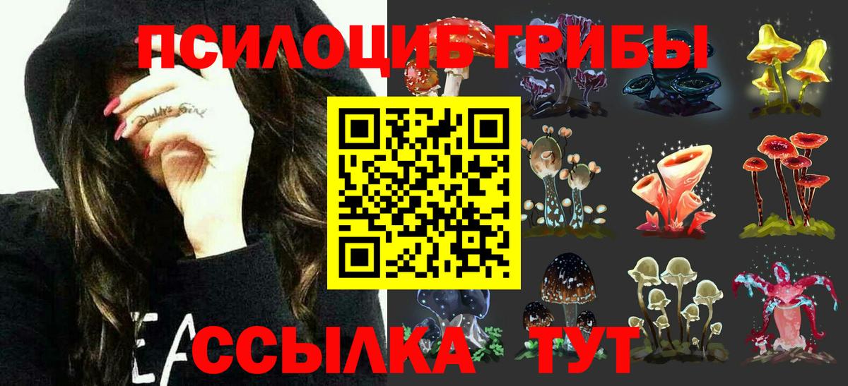 Галлюциногенные грибы Psilocybine cubensis Ессентуки