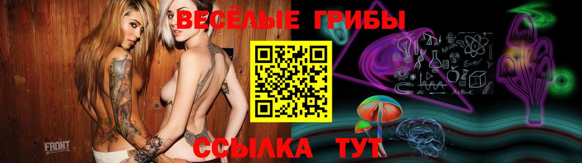 Галлюциногенные грибы GOLDEN TEACHER  Вход с VPN  Псилоцибиновые грибы Cubensis  Ессентуки 
